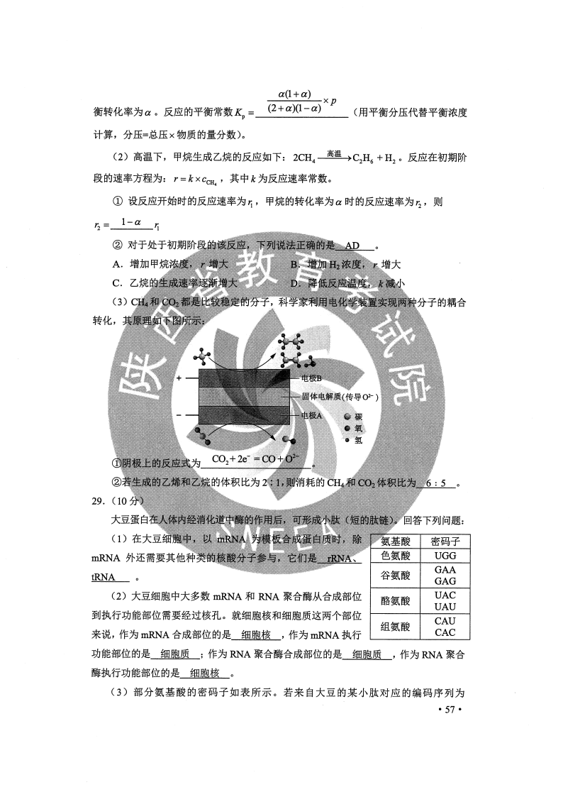 澳门一码一肖一特一中2023年;-精选解析解释落实